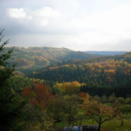 Siller Spiegelberg